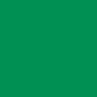 Sandália Flatform Cortiça Minimal Verde