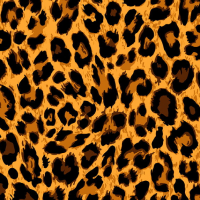 Sandália Bold Heel Straps Leopard