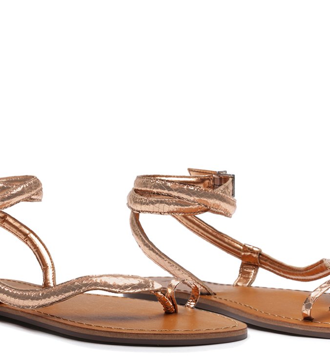 RASTEIRA SNAKE SALMON RASTEIRA SNAKE SALMON