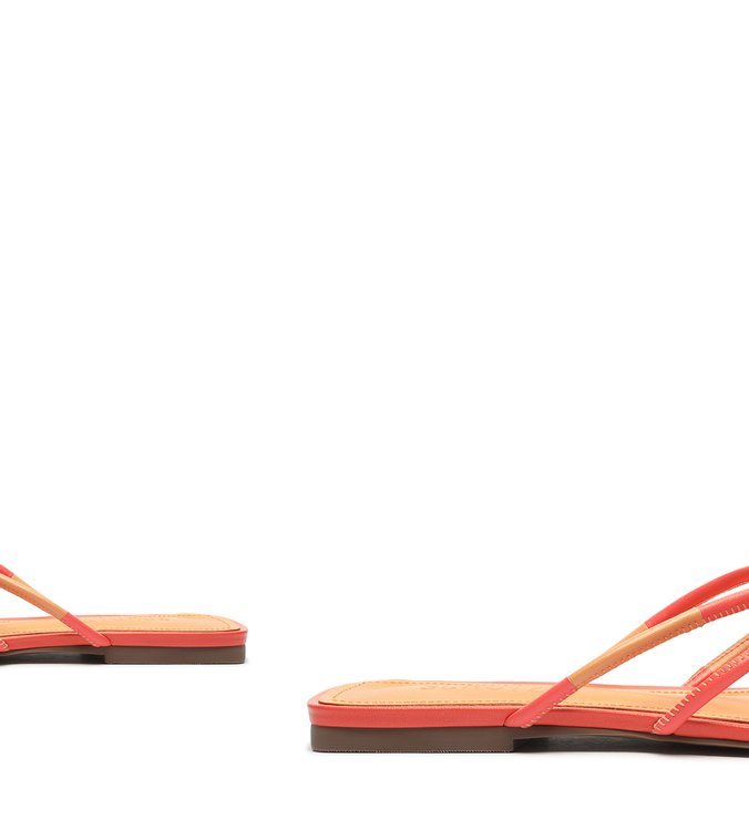 Flat Strings Duo Coral Flat Strings Duo Coral