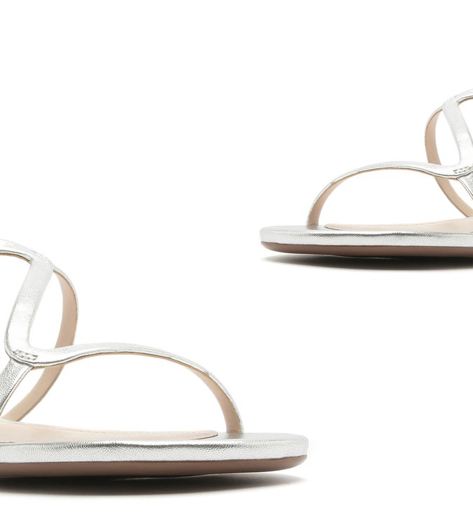 SANDÁLIA RASTEIRA CURVES METALLIC PRATA SANDÁLIA RASTEIRA CURVES METALLIC PRATA