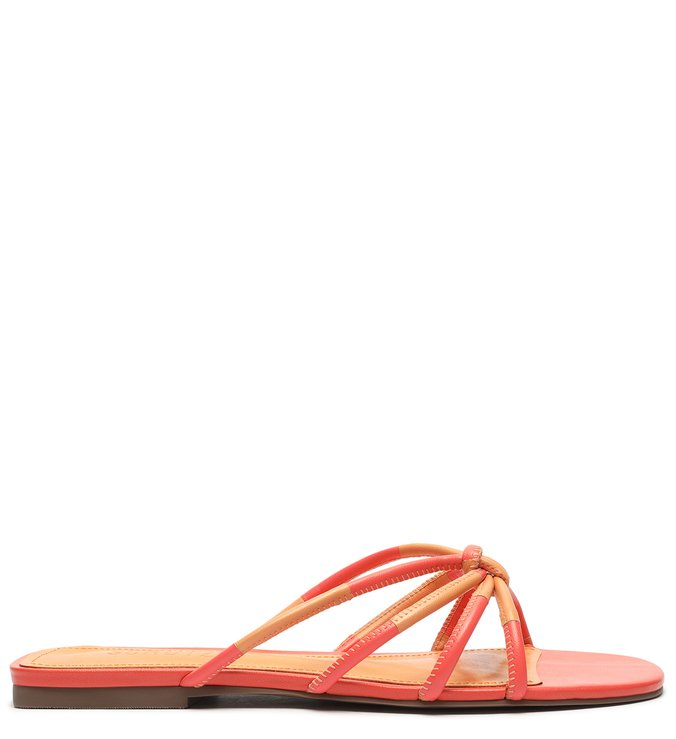 Flat Strings Duo Coral Flat Strings Duo Coral
