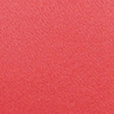 Bolsa Tote Tassy Schutz Logo Vermelha