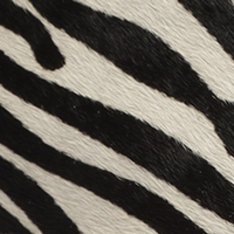 Tênis Cano Baixo Camurça Zebra