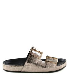 Birken Metallic