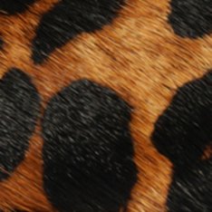 Scarpin Plataforma Myriam Couro Animal Print