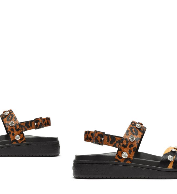 Sporty Sandal Animal Print Glam Sporty Sandal Animal Print Glam